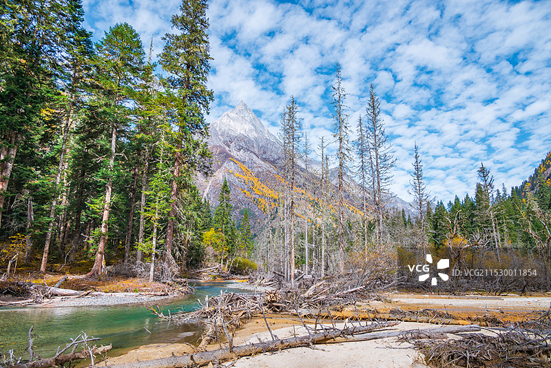 四姑娘山长坪沟秋季风光图片素材
