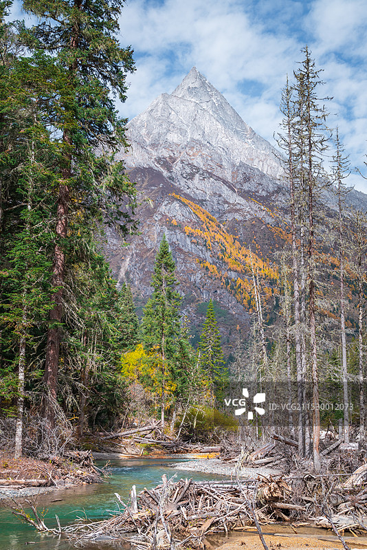 四姑娘山长坪沟秋季风光图片素材