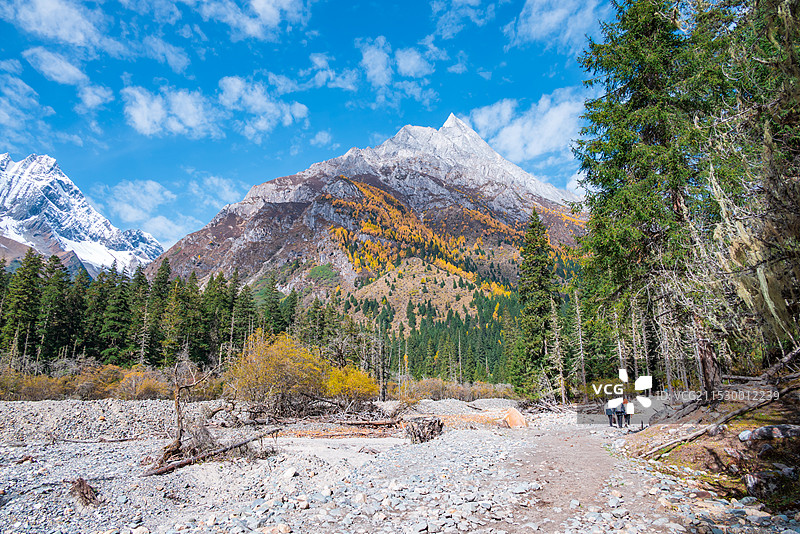 四姑娘山长坪沟秋季风光图片素材