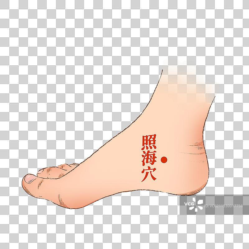 穴位图片素材