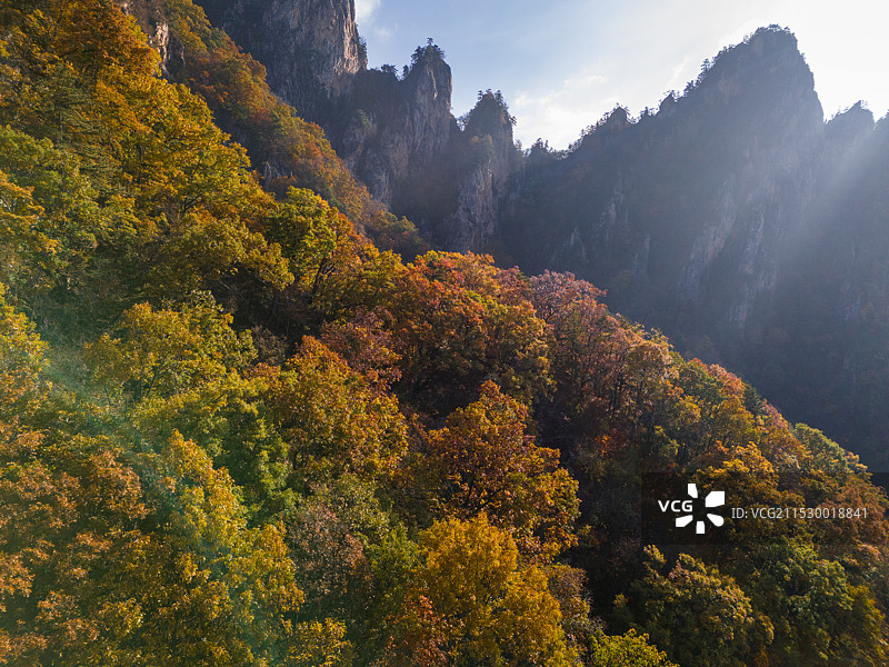 南阳老界岭秋景风光图片素材