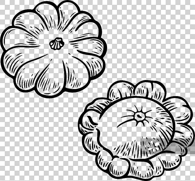 独立的扁平南瓜线条图绘制图片素材