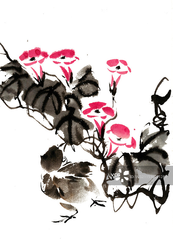 牵牛花下的小鸡图片素材