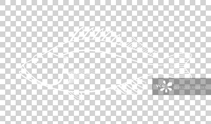 海鲈鱼图片素材