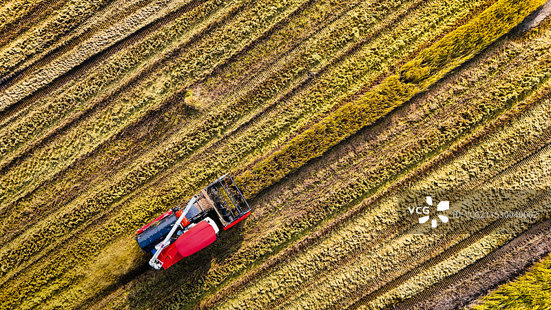 水稻收割图片素材