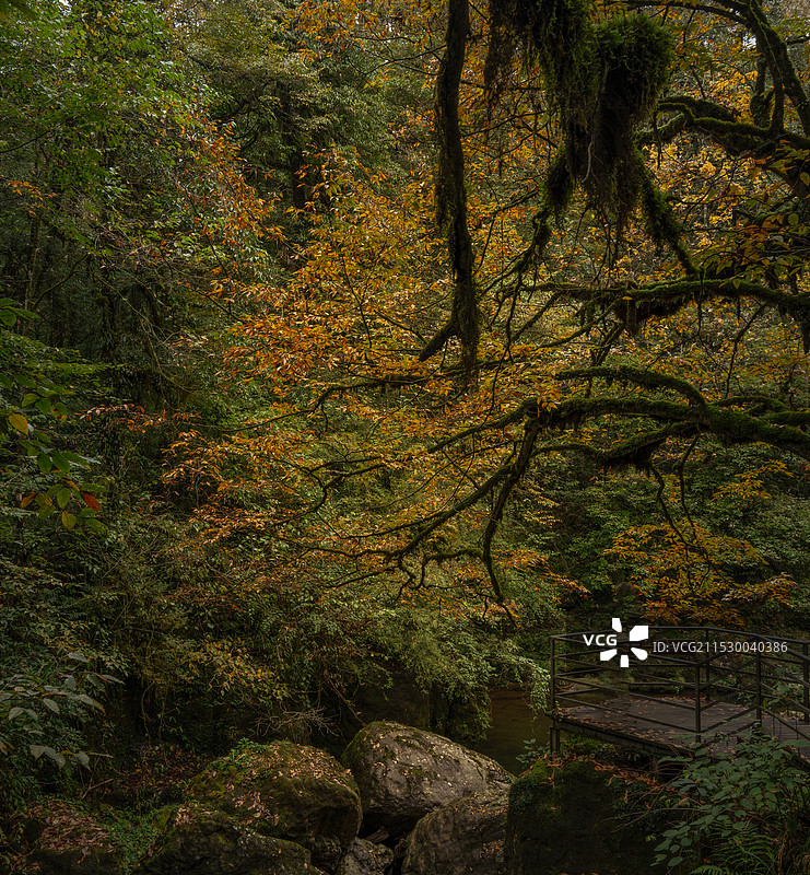 龙苍沟森林公园图片素材