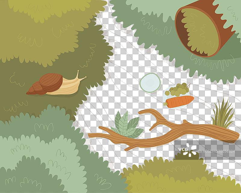 一只家养蜗牛在家庭花园的顶部爬行图片素材