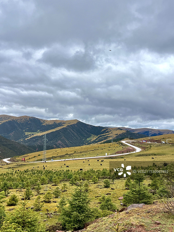 318沿途-东达山垭口路上图片素材