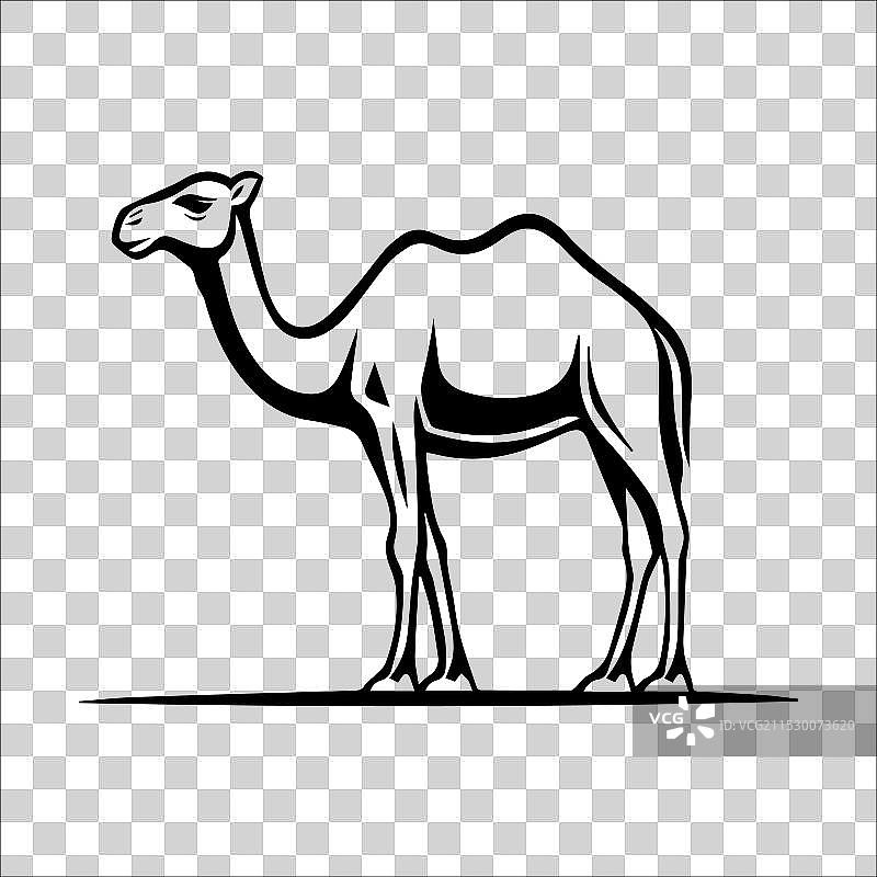 骆驼图标或现代线条符号线条艺术图片素材