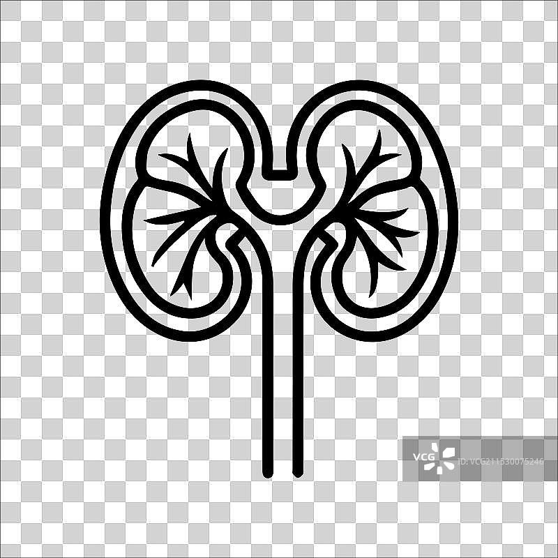 肾脏图标或现代线条符号线条艺术图片素材