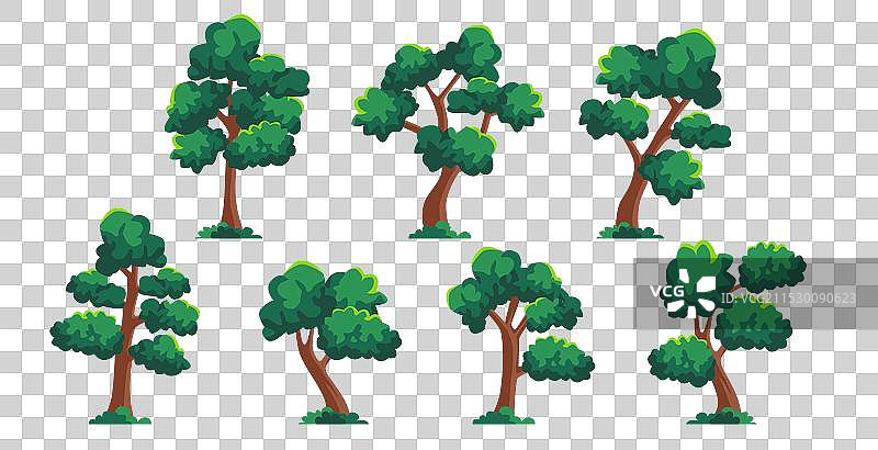 树木集合与背景图片素材