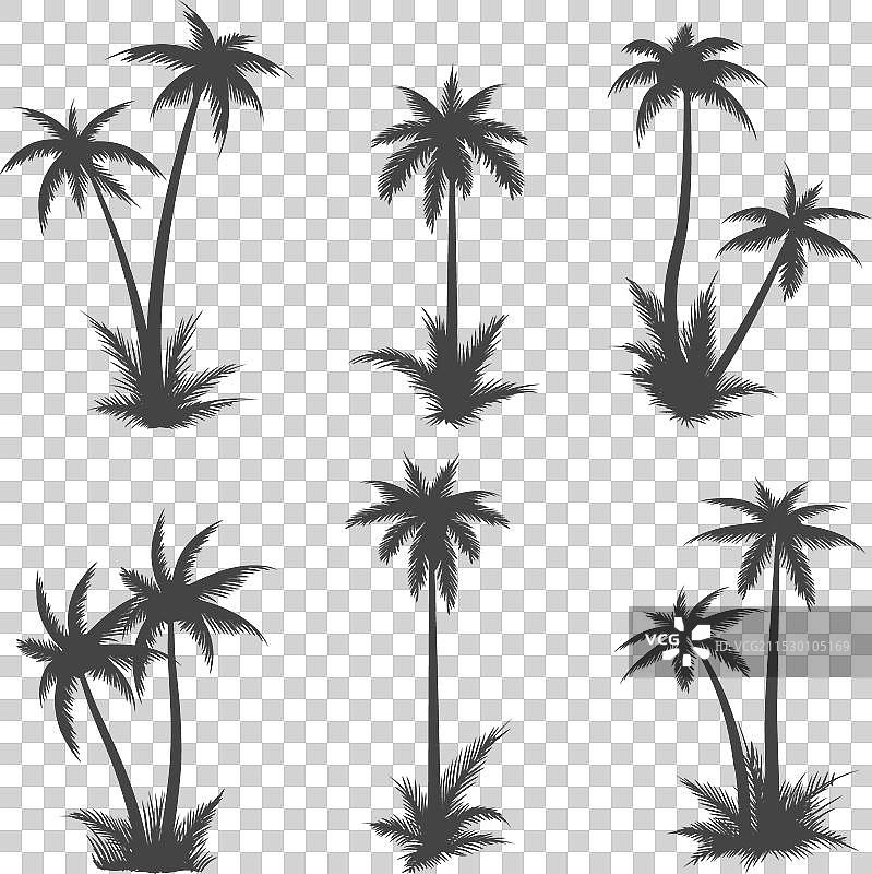 棕榈树剪影图片素材