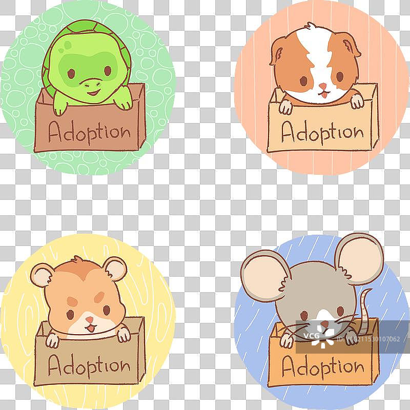 可爱猫咪在盒子里的宠物领养概念图片素材