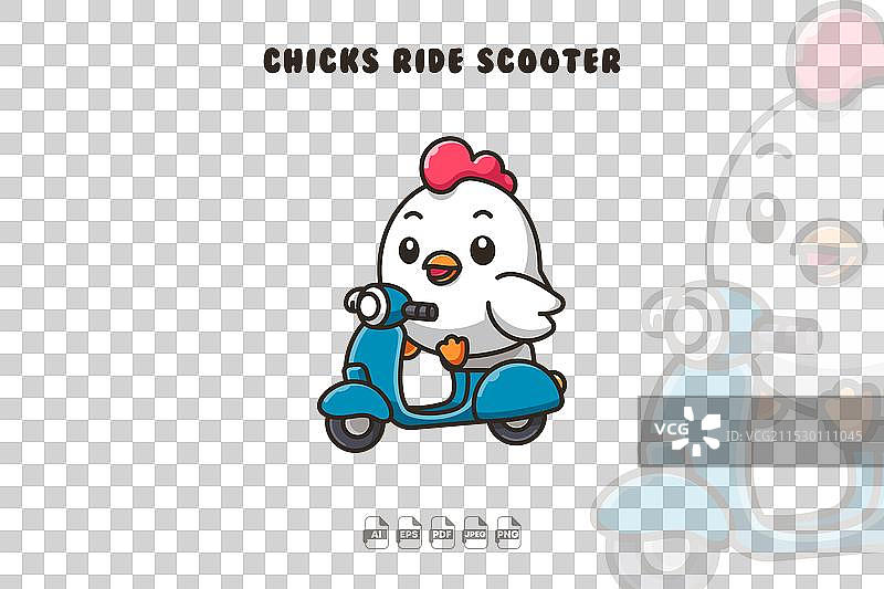 可爱的雏鸟骑滑板车图片素材