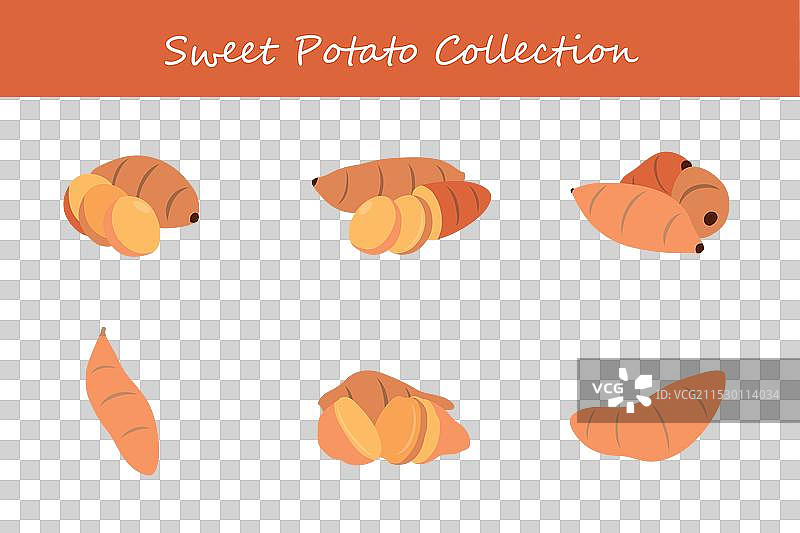 不同姿势的甘薯集合图片素材