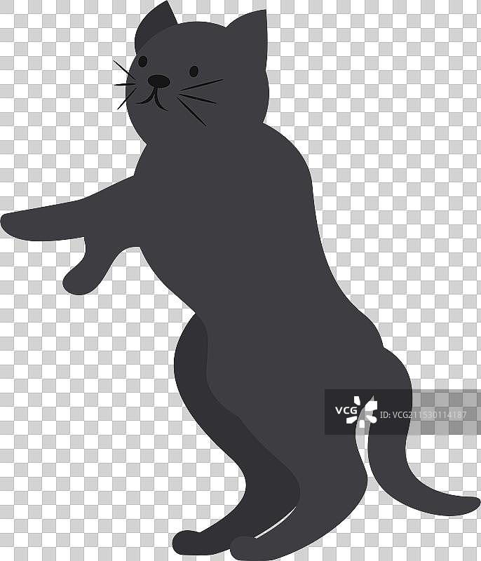 黑猫站立在后腿上图片素材