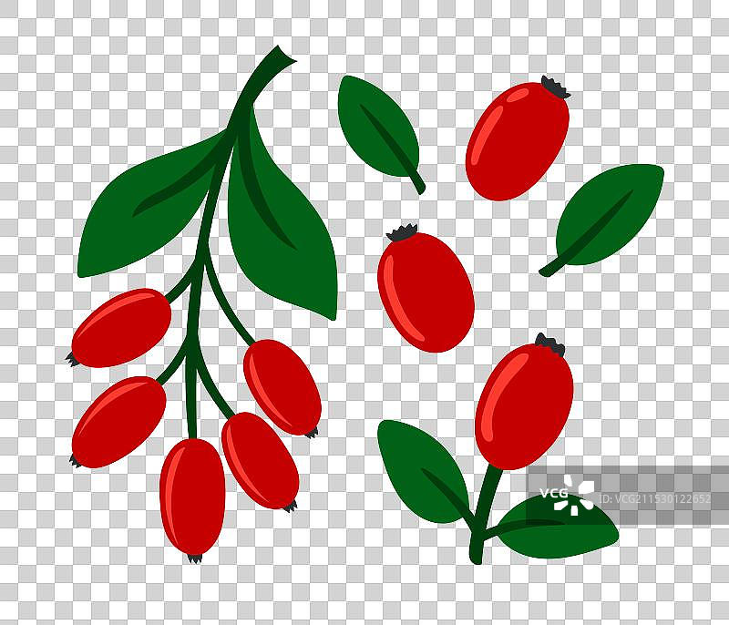 新鲜夏季多汁的刺梨扁平组合图片素材