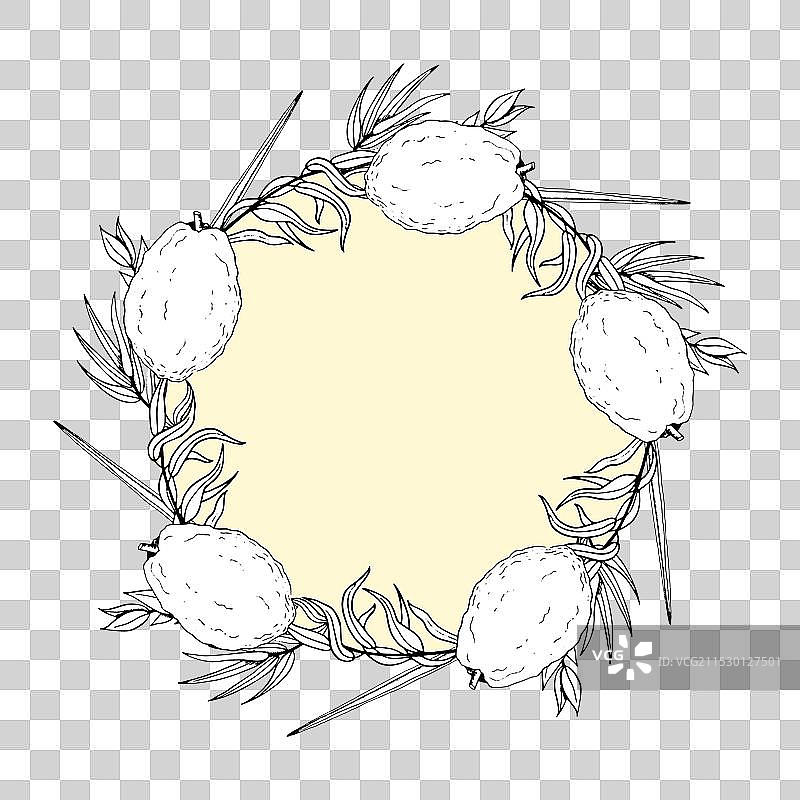 以特罗果和住棚节植物制成的圆形花环图片素材