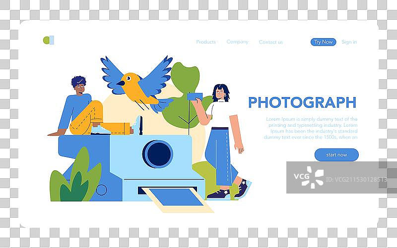 鸟类观察平面图图片素材