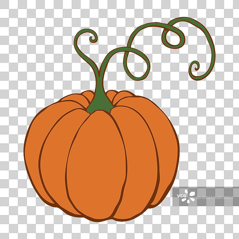 扁平风格的彩色南瓜，孤立展示图片素材