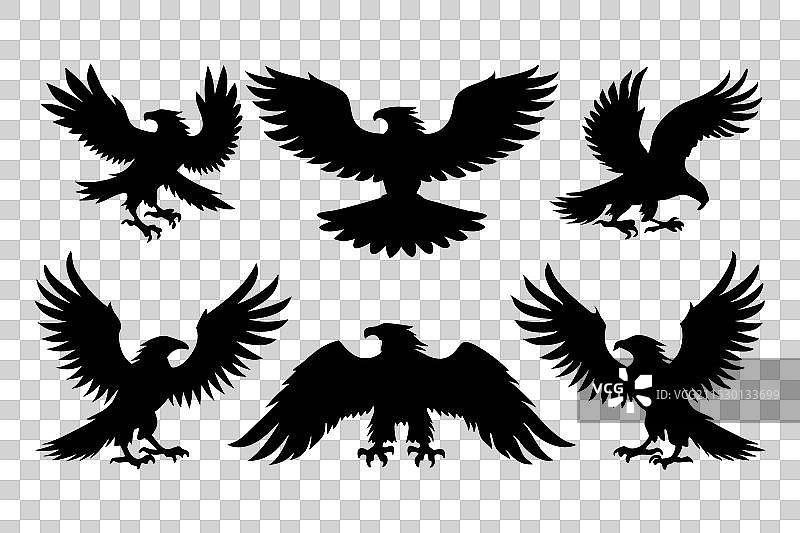 黑色轮廓的鹰鸟孤立平面图集图片素材