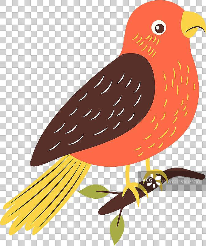 可爱的鹰、鹰隼、猎鹰卡通动物图片素材