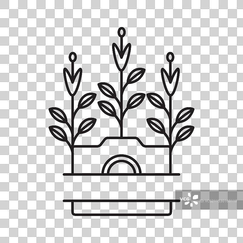 花卉相机摄影线条极简标志图片素材