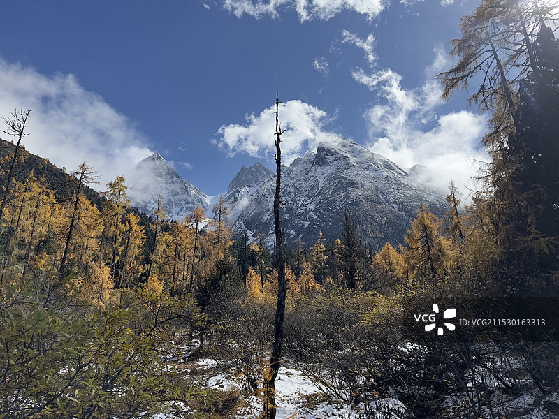 毕棚沟深秋四级颜色组图之三图片素材