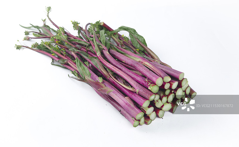 红菜苔图片素材