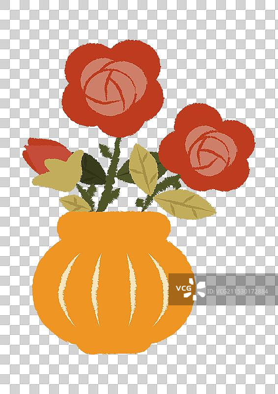 盆中的花朵图片素材