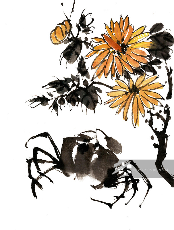 菊花与螃蟹图片素材