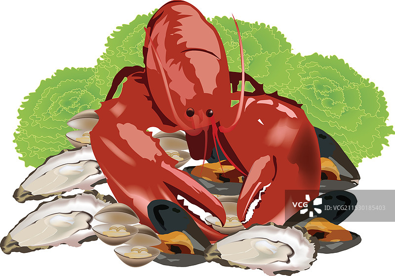 海洋甲壳类动物，包括龙虾、贻贝和蛤蜊图片素材