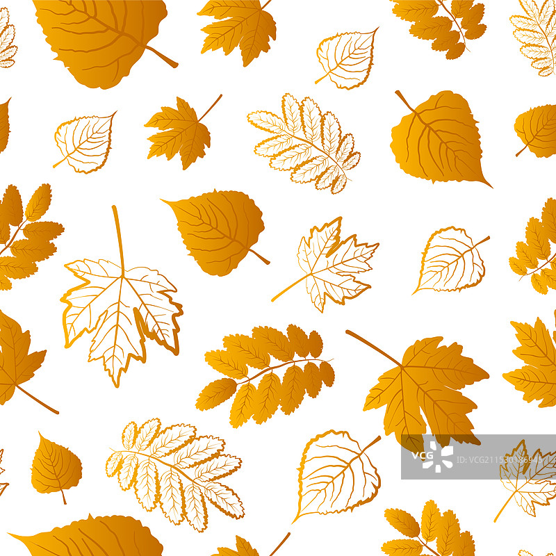 一个无缝图案，包含各种秋天的树叶图片素材