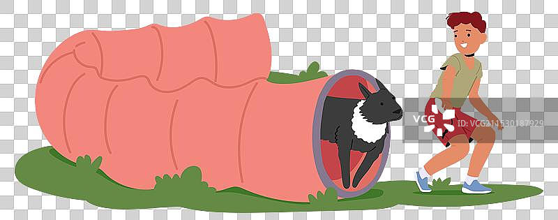 男孩在户外训练狗狗，引导它穿过一个...图片素材