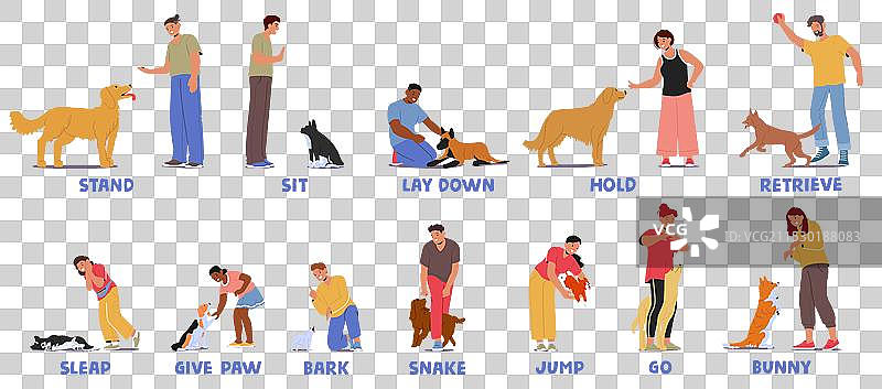 狗训练指令的演示图片素材