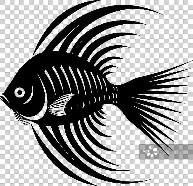 黑白孤立的天使鱼图标图片素材