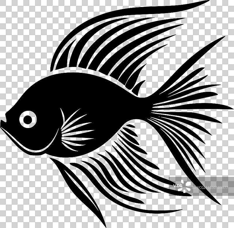 黑白孤立的天使鱼图标图片素材