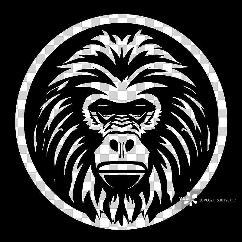 黑白狒狒图片素材