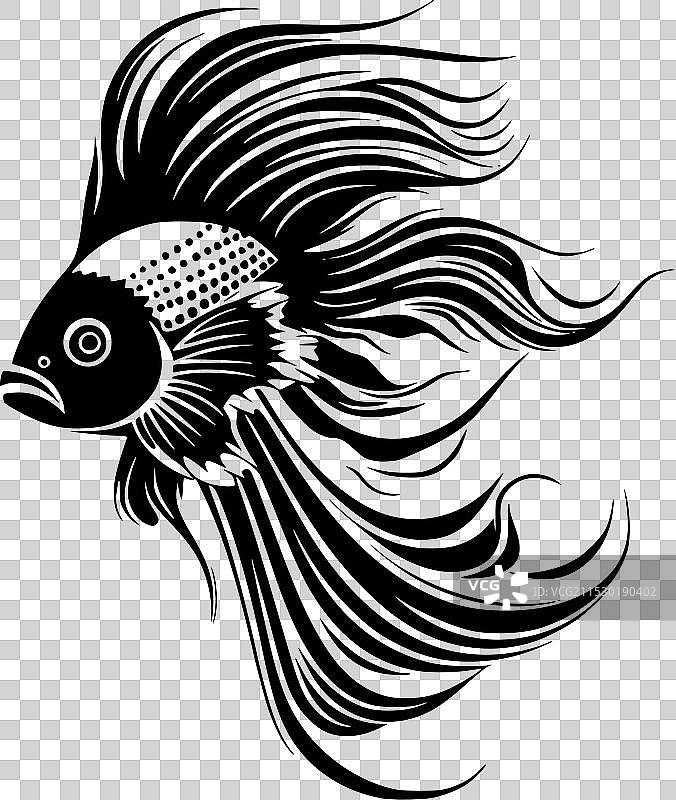 黑白斗鱼图片素材