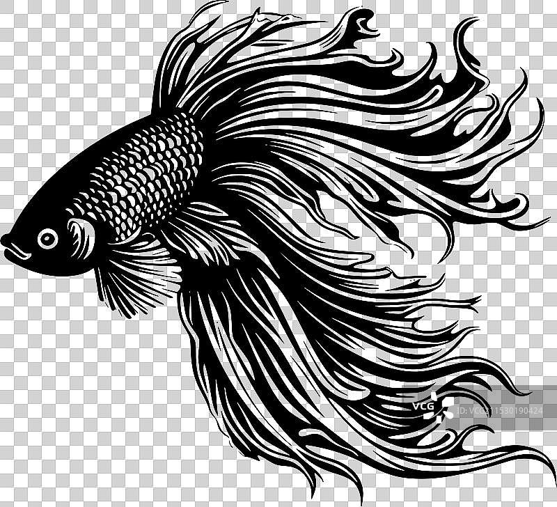 斗鱼 - 极简和简单的轮廓图片素材