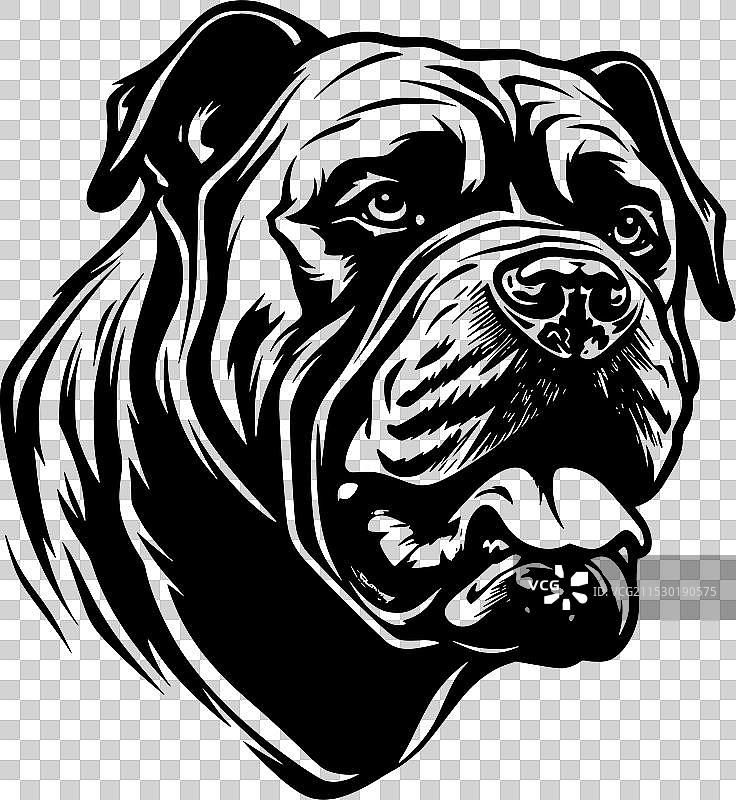 卡恩科尔索犬 - 黑白色图片素材