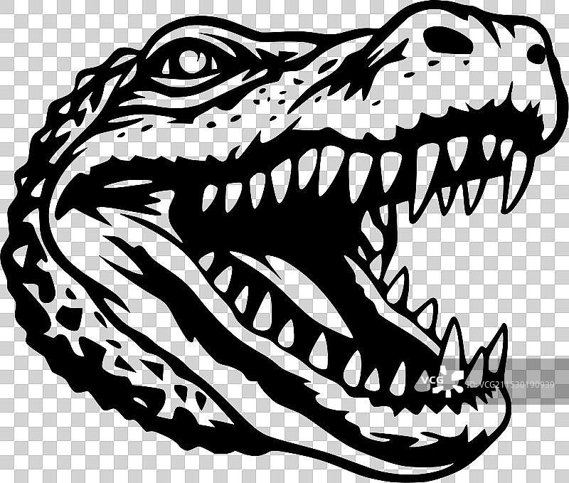 鳄鱼 - 高质量标志 - 适合T恤使用图片素材