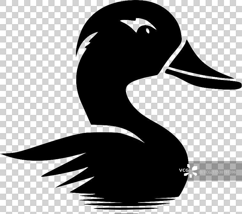 鸭子 - 高质量标志 - 适合T恤使用图片素材