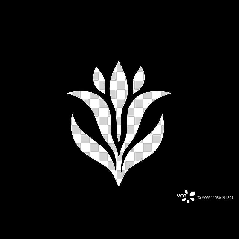 花卉 - 高质量标志 - 适合T恤使用图片素材