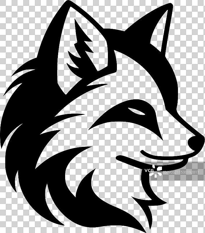 黑白狐狸图片素材