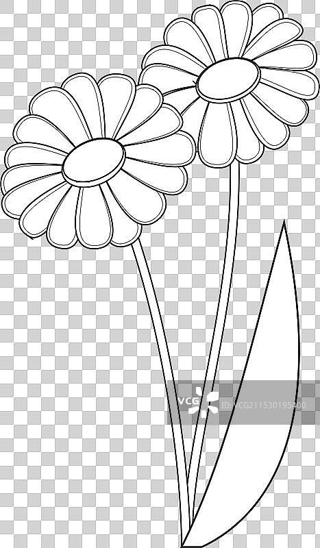 两朵花的剪影图片素材