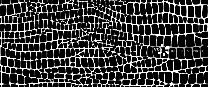 蛇类爬行动物或鳄鱼皮肤纹理图片素材