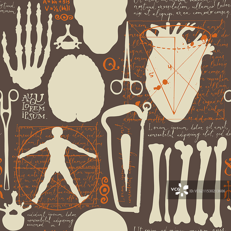 人体器官的无缝解剖图案图片素材