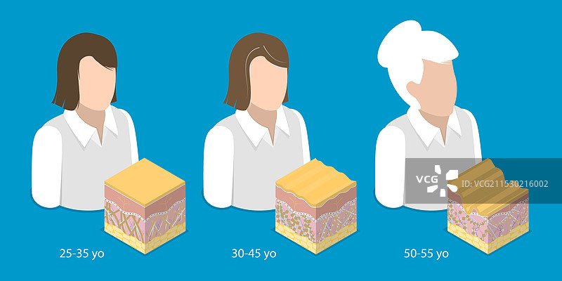 女性的三维等距平面图图片素材