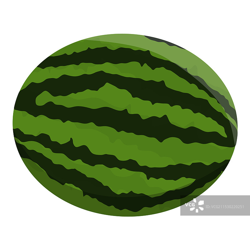 成熟的新鲜西瓜图片素材